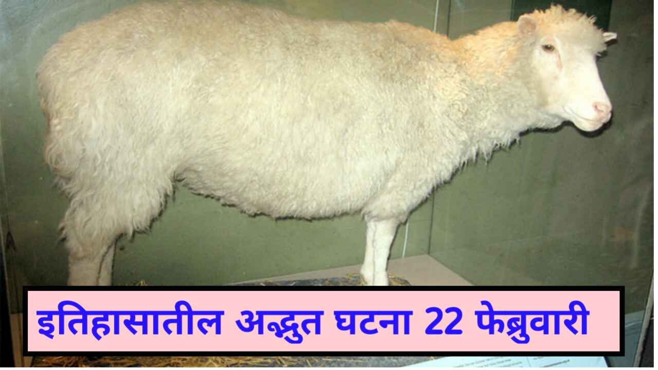 Sheep clone body event on 22 february